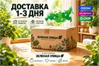 Как происходит доставка с интернет -магазина Зеленая Улица.