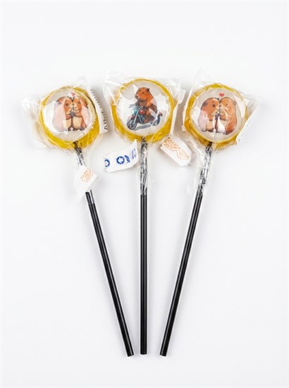 Леденец ™ "Candymood" Капибара, 25 гр. УП-00000202