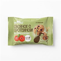 Печенье "NutVill" 2GO Овсяное протеиновое с кусочками клюквы, 16г УП-00000492